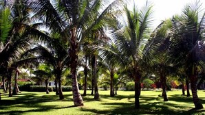บริเวณที่พัก
