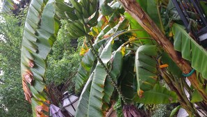 Jardín