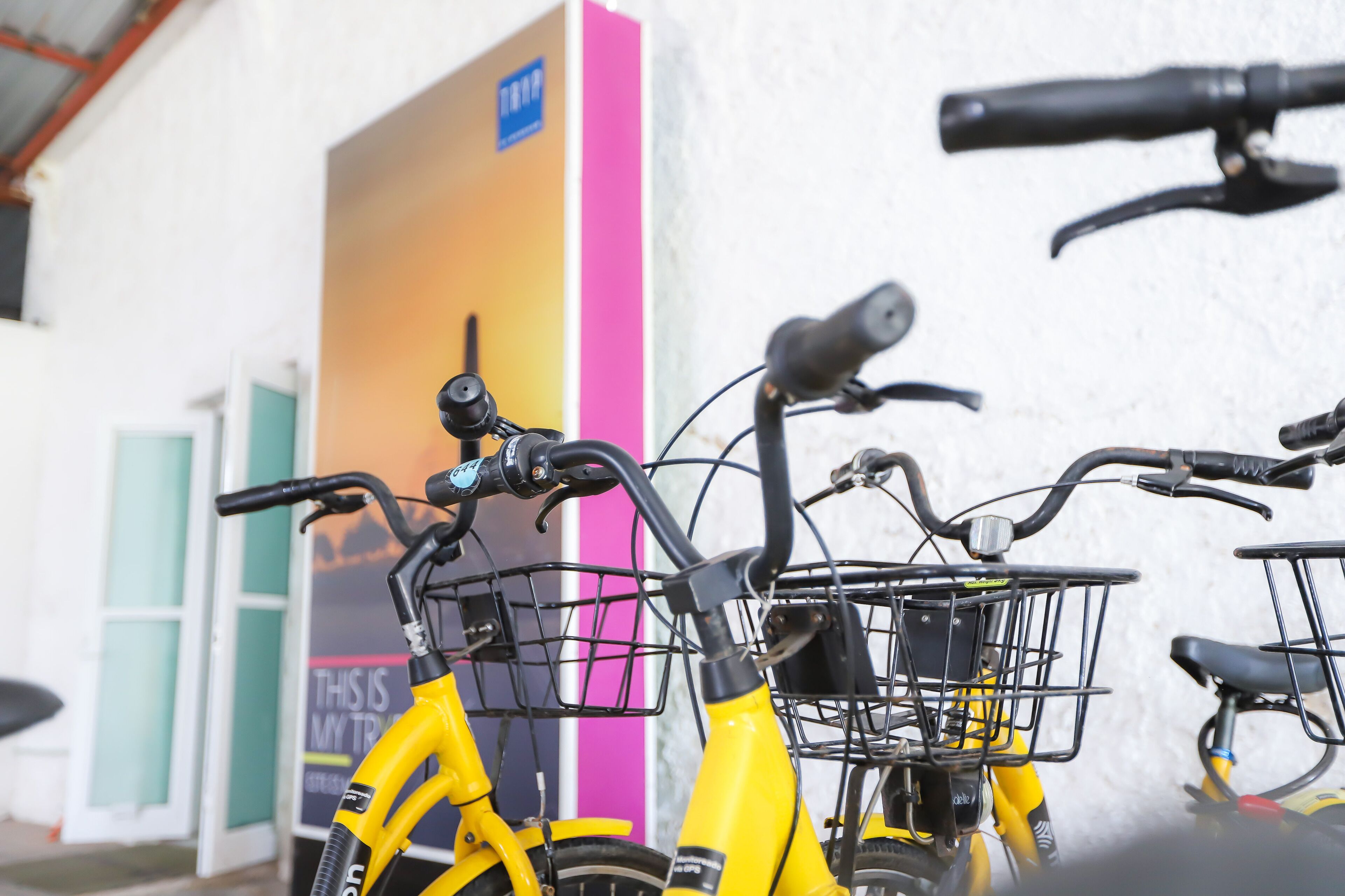 Photo - TRYP by Wyndham Chetumal