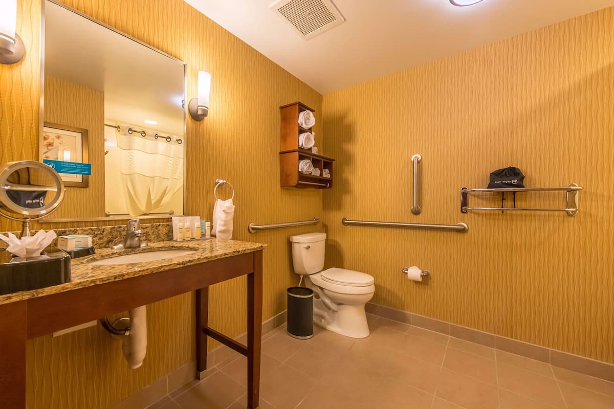 A bathroom with a sink, mirror, toilet, towel rack, and handrails.