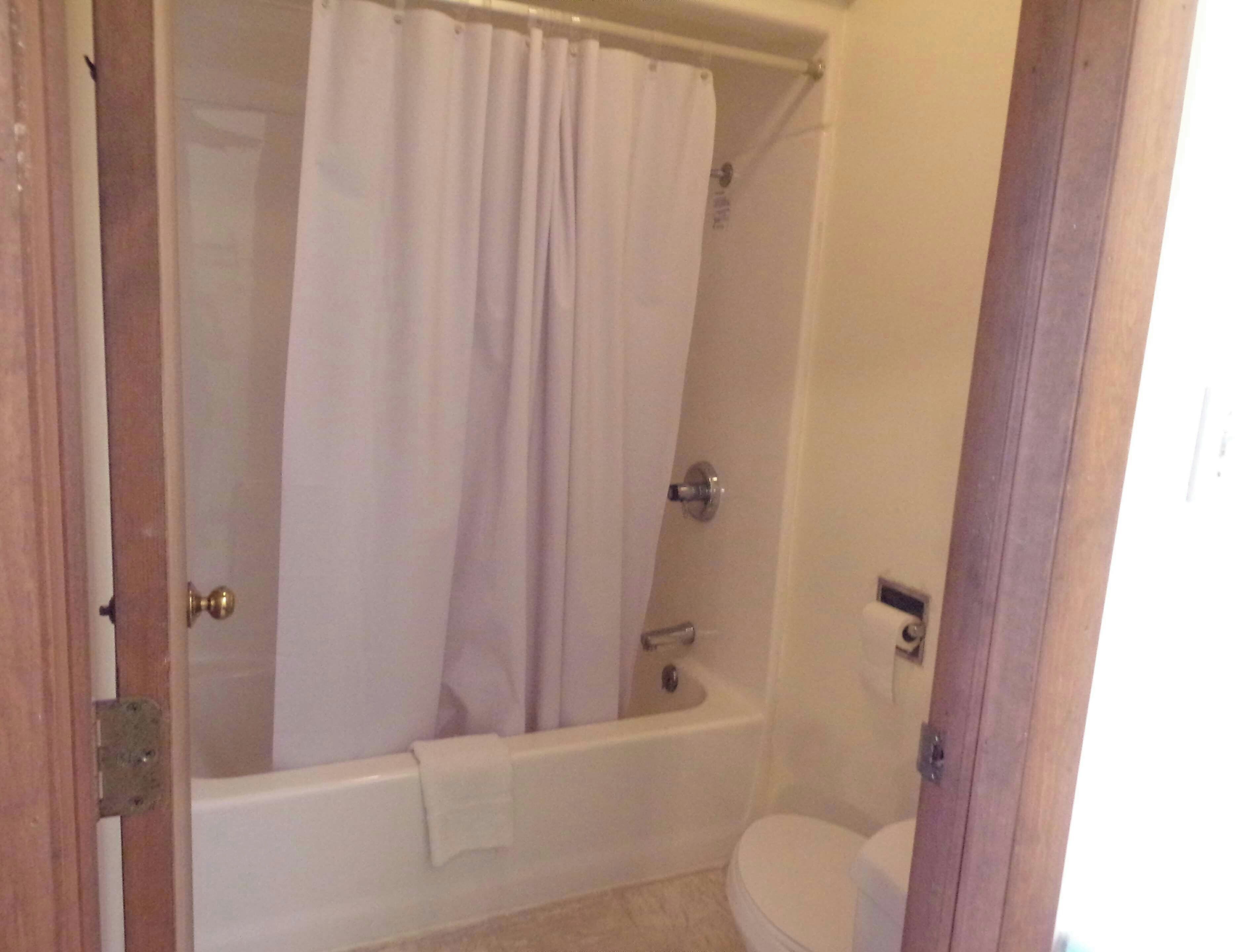 A bathroom with a bathtub, toilet, and a shower curtain.