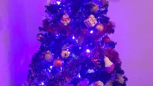 A Christmas tree decorated with various ornaments and lights, placed in a corner of a room with a wooden floor. - Domina Romae B&B (Rome)