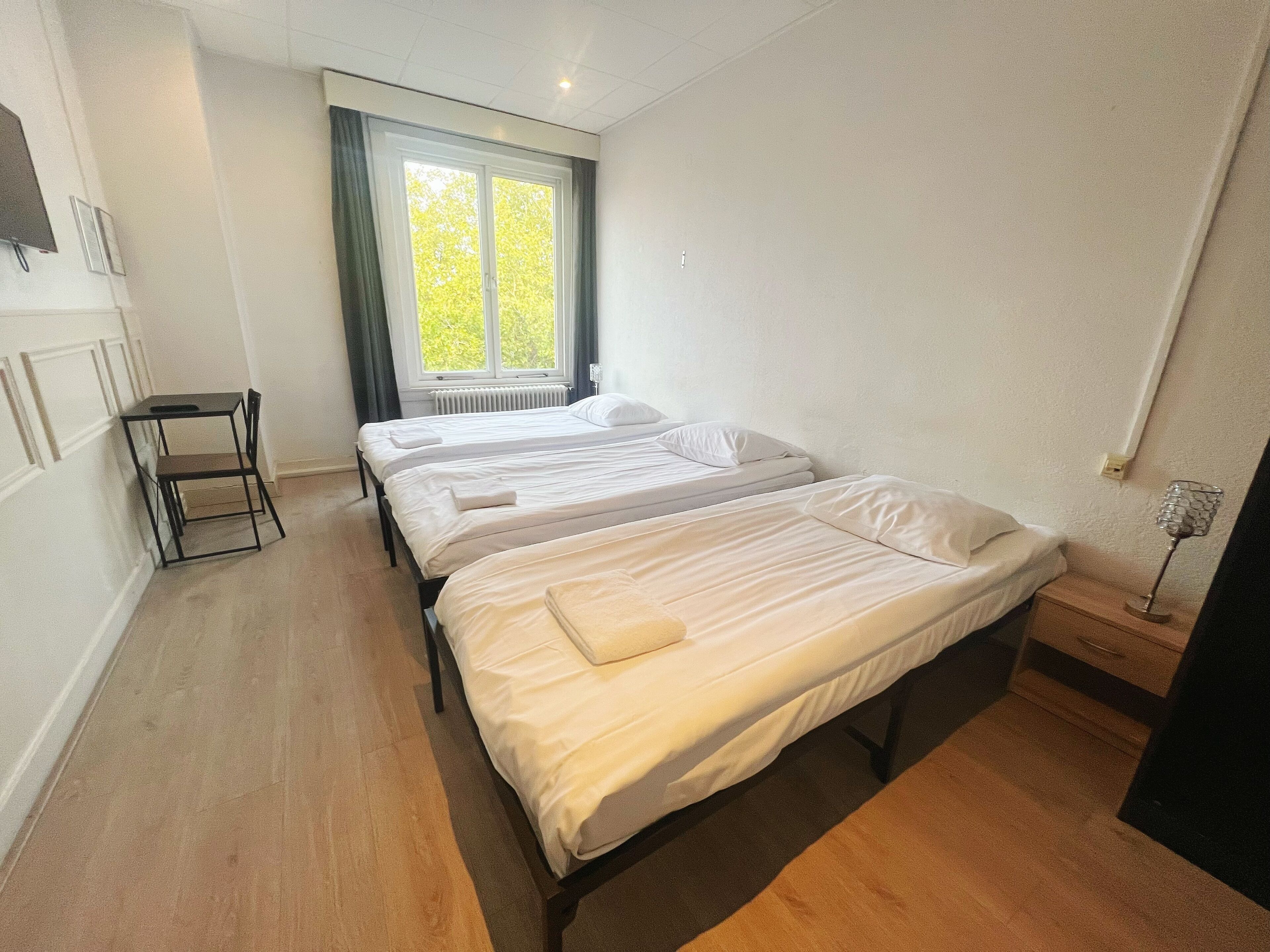 Foto - CoronaZeist-Utrecht NL