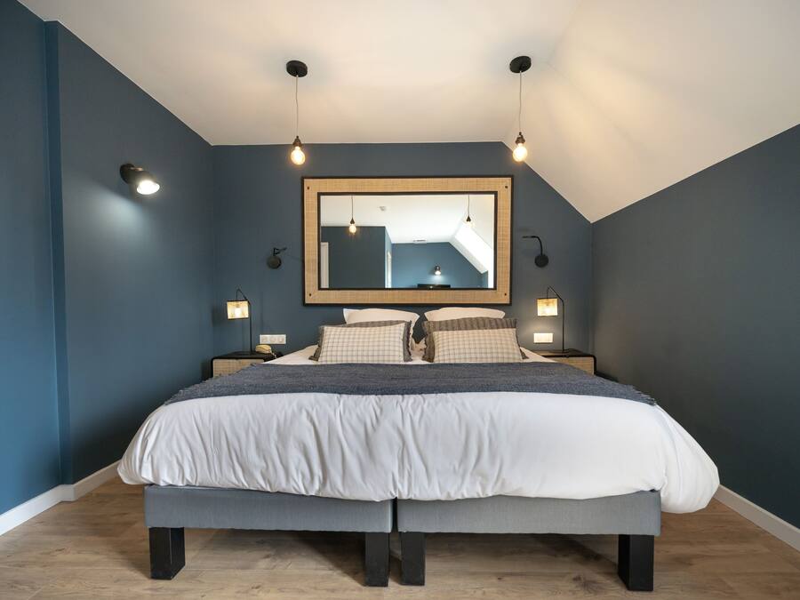 A bedroom with a large bed, a ceiling light fixture, and a mirror on the wall.