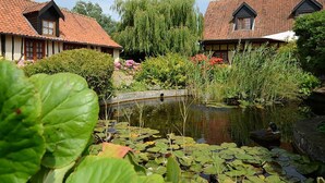 A traditional building with a tiled roof, a pond with lily pads, and a weeping willow tree.