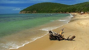 Private beach nearby, sun-loungers, beach umbrellas - Corte dei Tusci Village Palace Hotel (Scarlino)