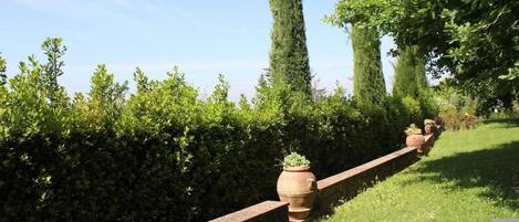 A garden with a brick wall, potted plants, and a chair.