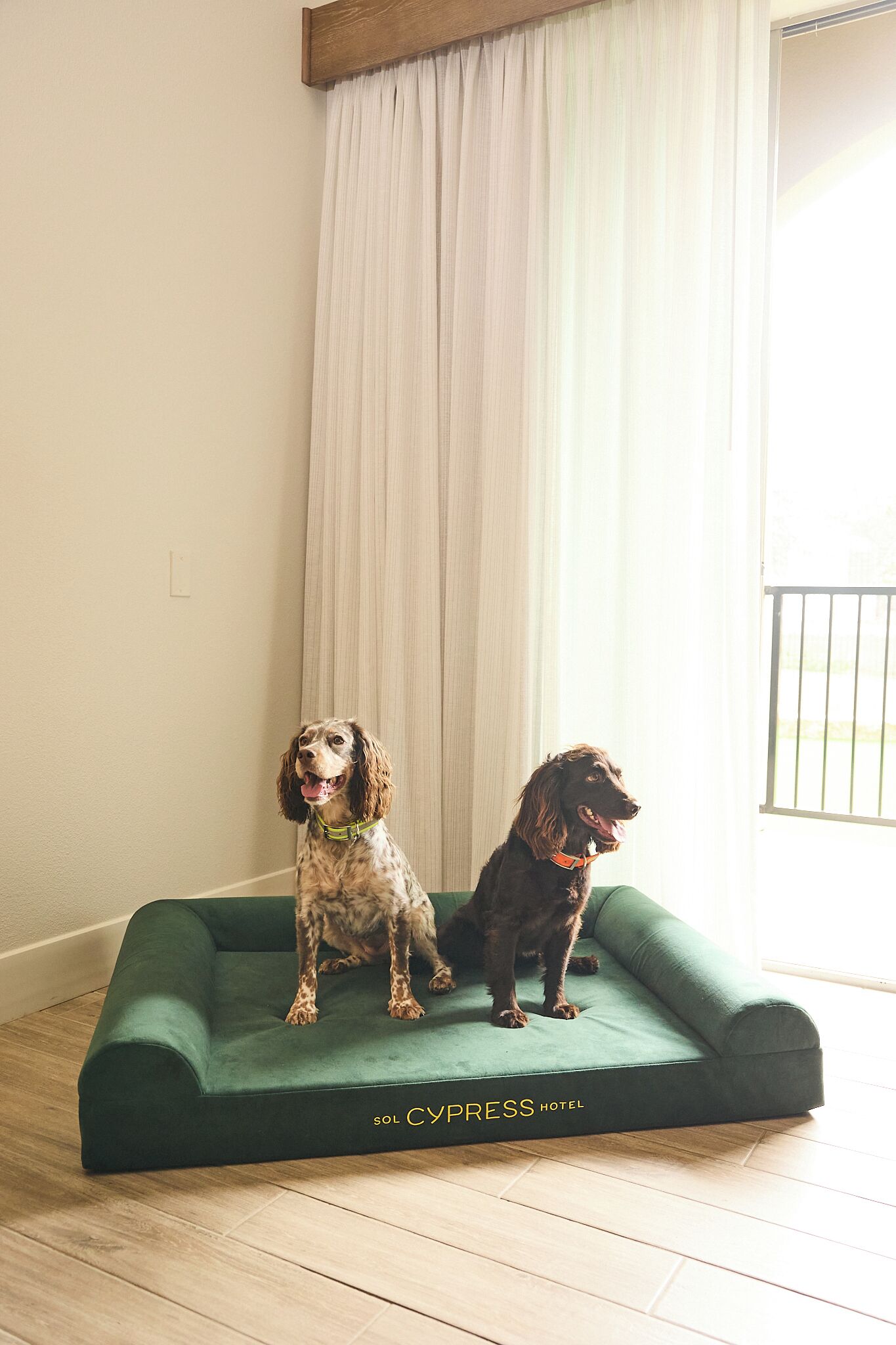 Photo - Sol Cypress, San Antonio, a Tribute Portfolio Hotel