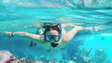 A person snorkeling underwater with a snorkel and mask.