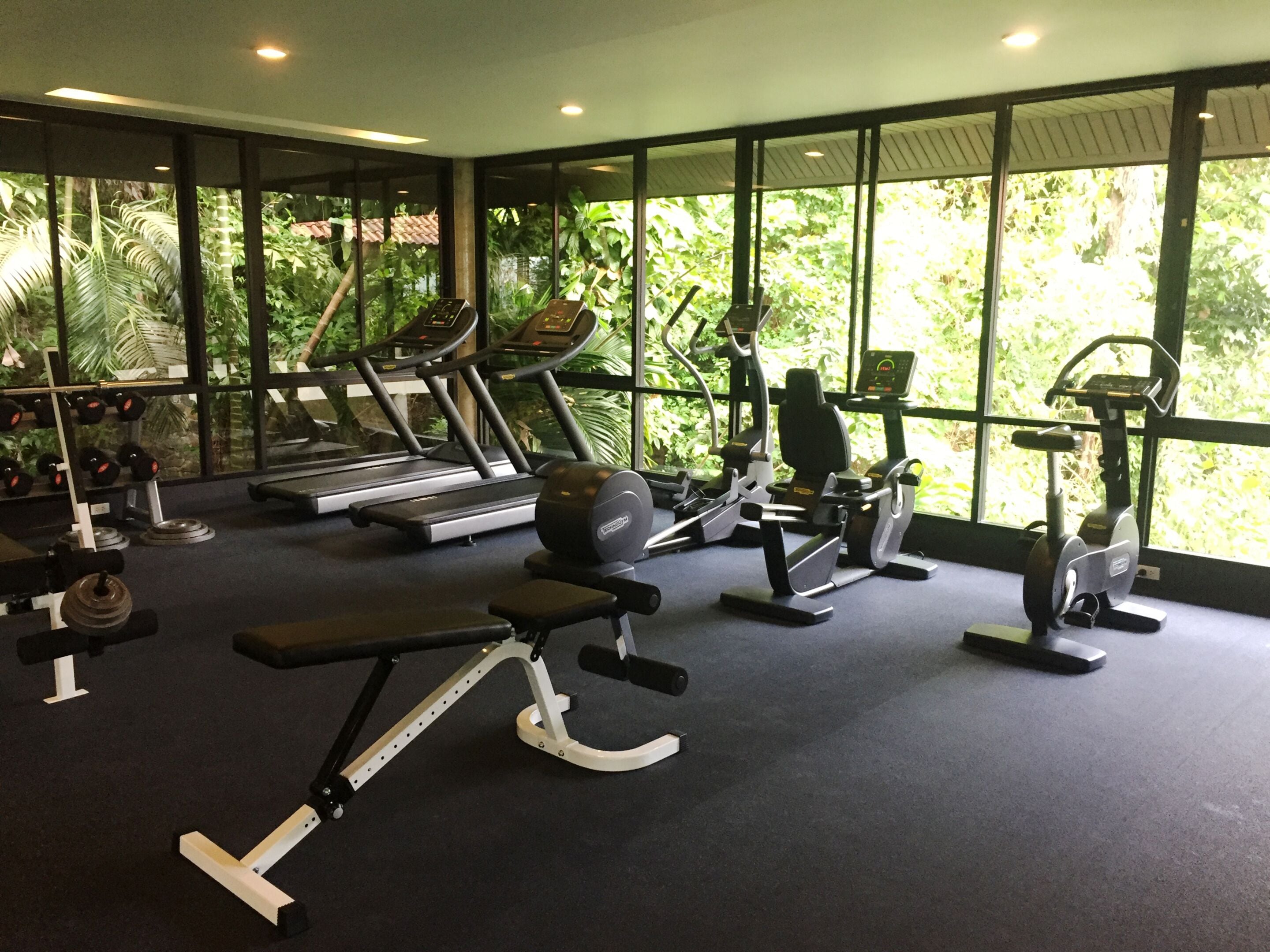 Un gimnasio con cintas de correr, máquinas de pesas y mancuernas.