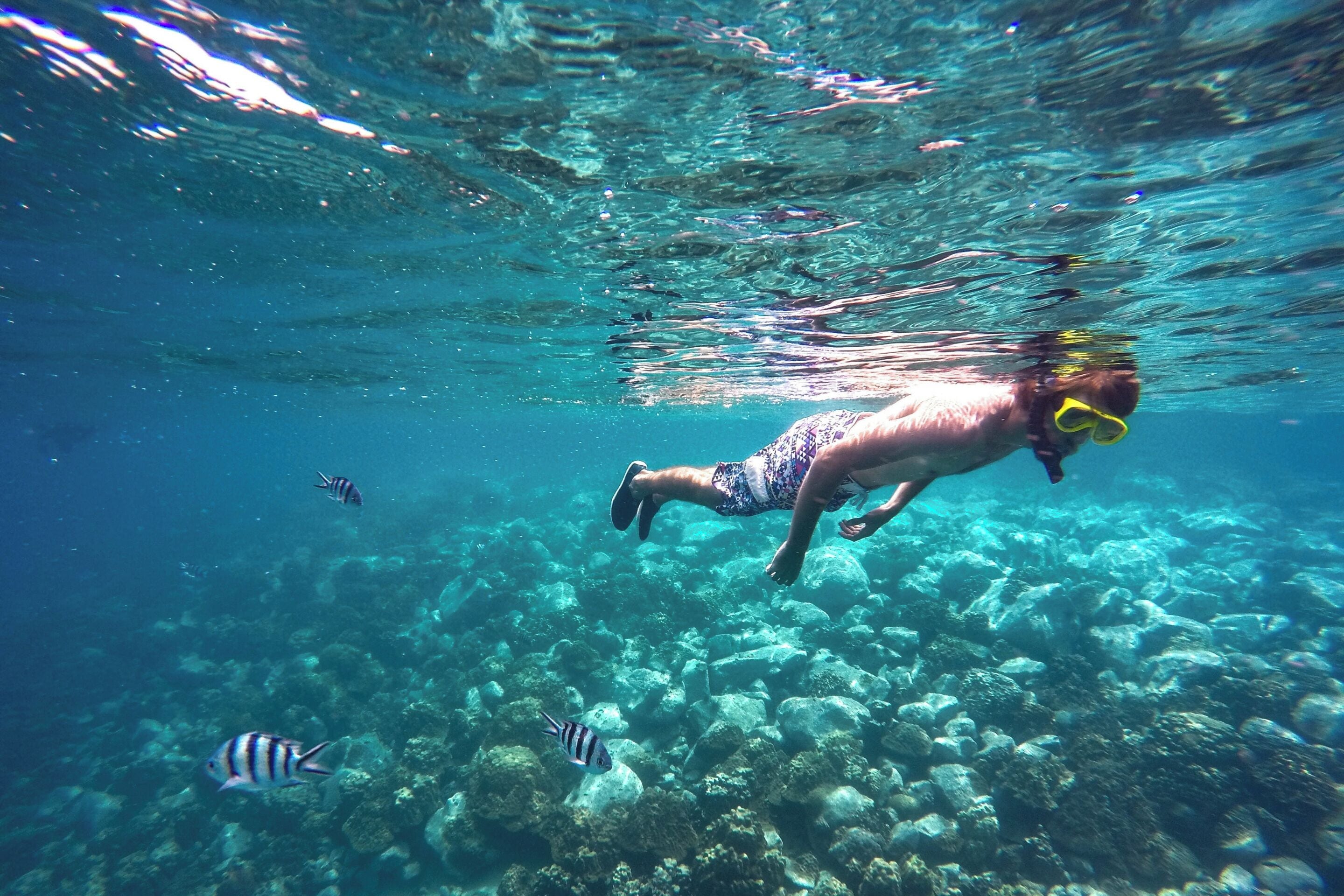 A person snorkeling underwater with fish around them.