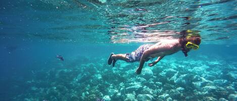 A person snorkeling underwater with fish around them.