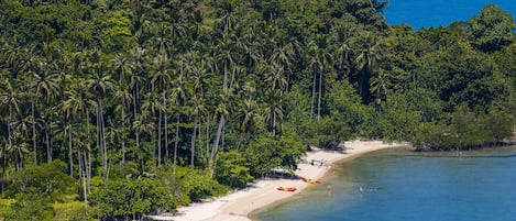 Una playa con arena, palmeras y kayaks.