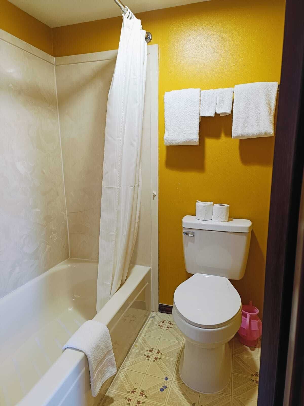 A bathroom with a bathtub, toilet, and shower curtain.