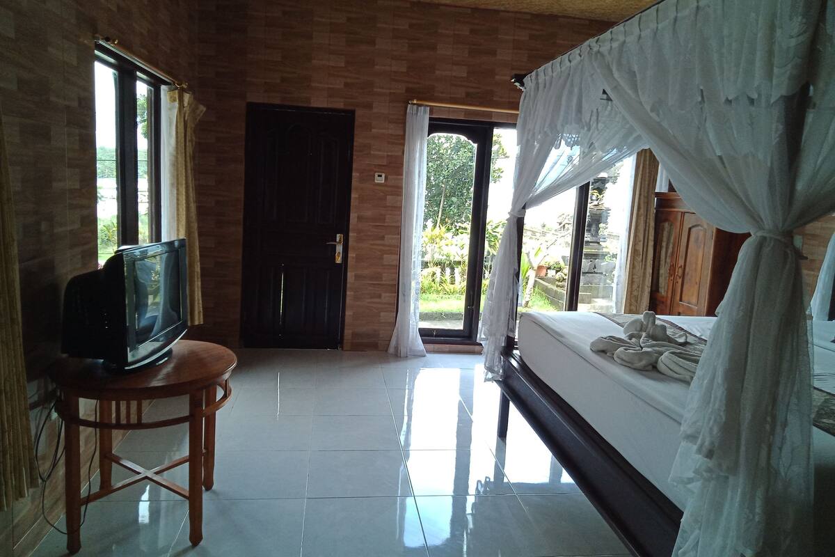 A room with a bed, a television on a wooden table, a door, and a view of the outdoors.