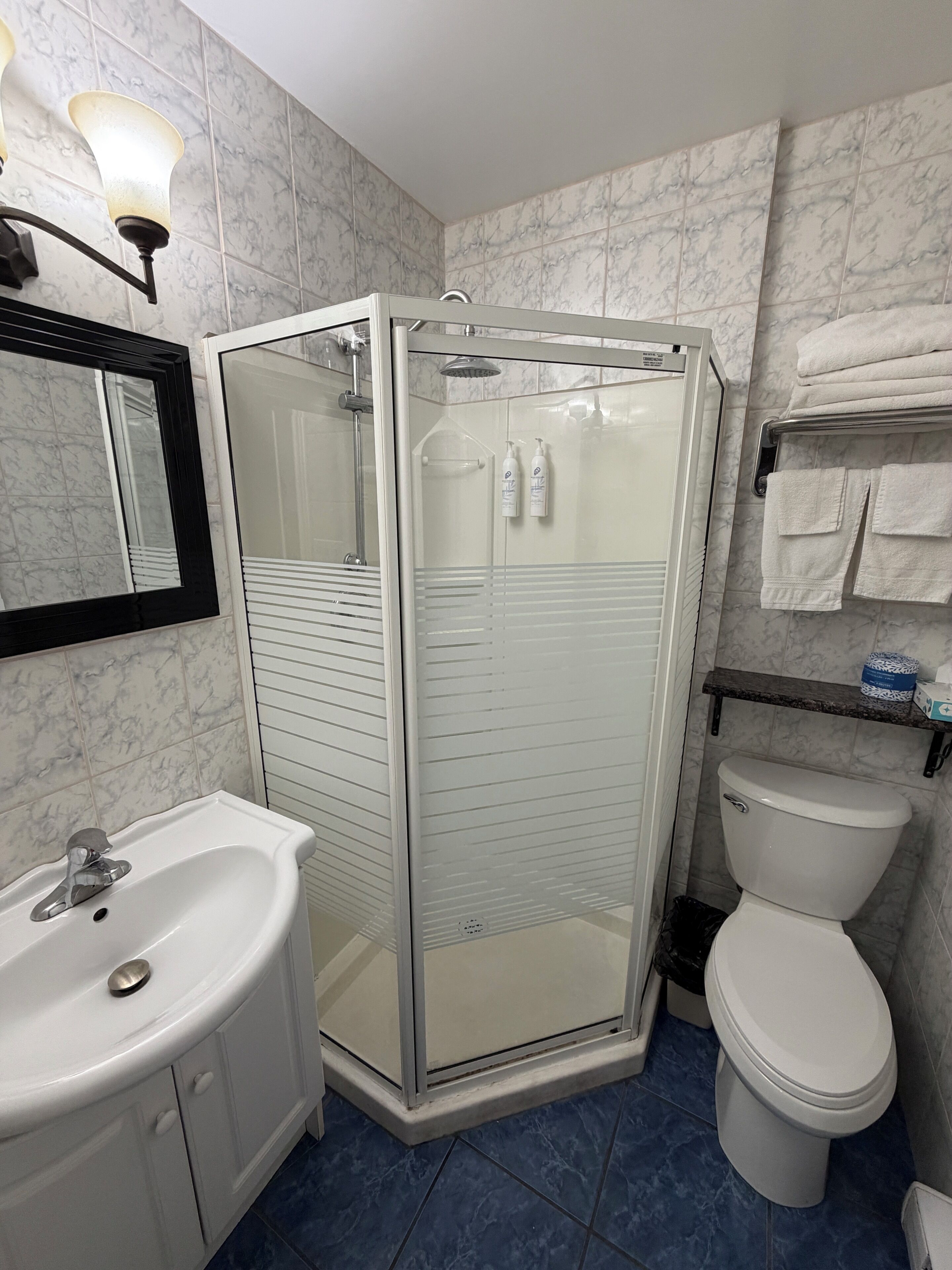 A bathroom with a glass-enclosed shower, a white sink, a toilet, and a towel rack.