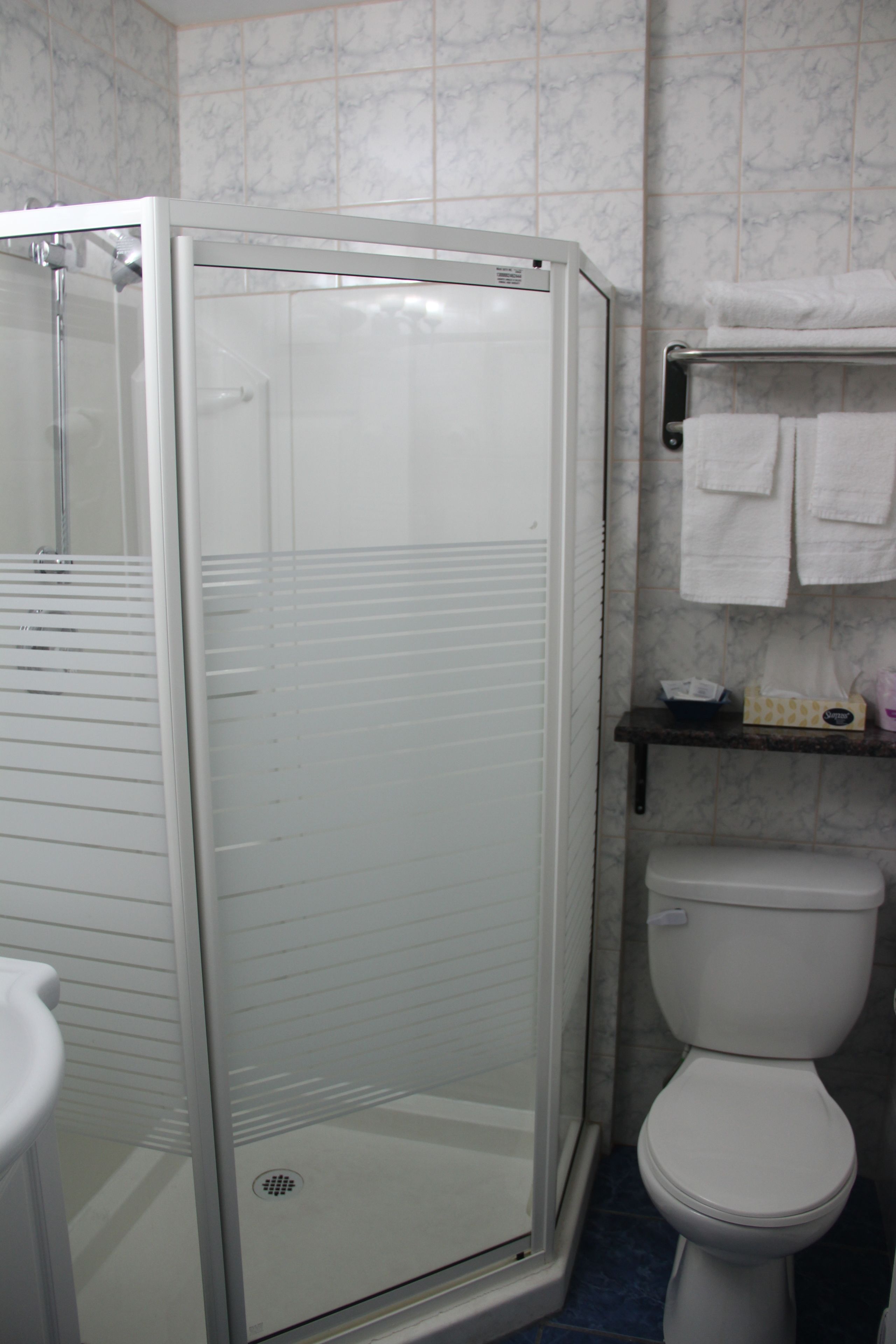 A bathroom with a glass-enclosed shower, a toilet, and a shelf with towels.