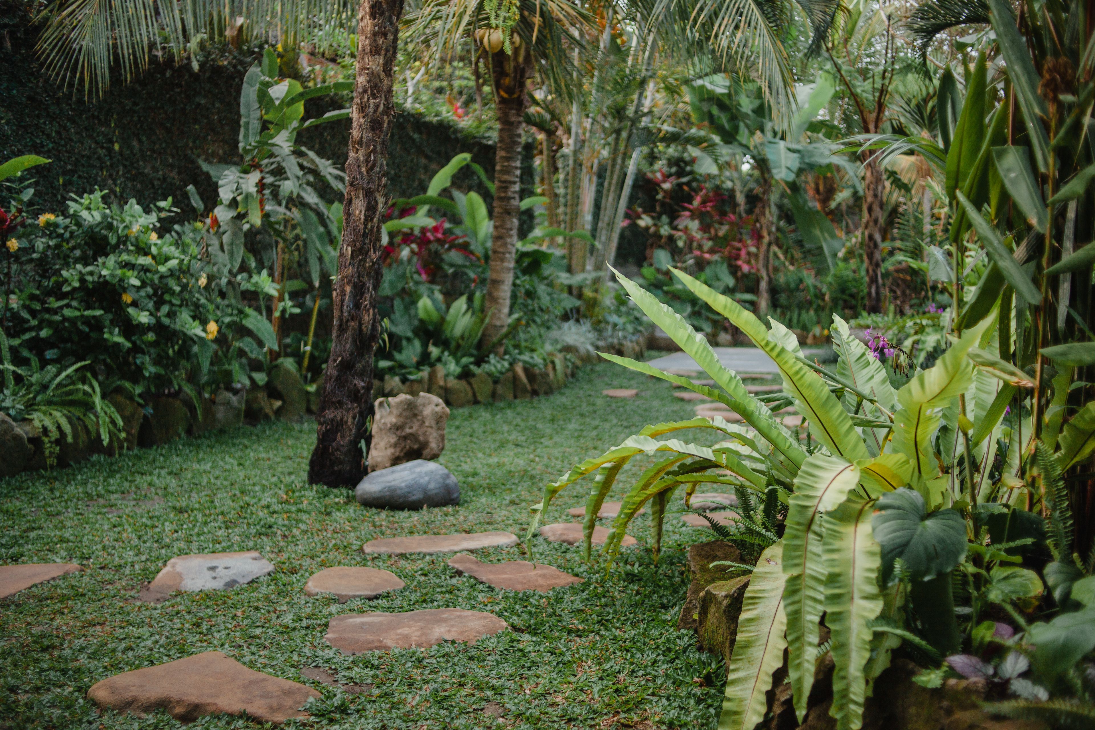 Jardín