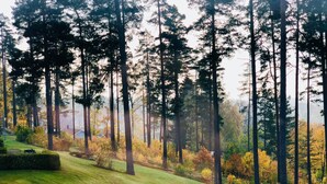 A forested area with tall trees and a well-maintained lawn. - Hotel Malmkoping, BW Signature Collection (Malmkoping)