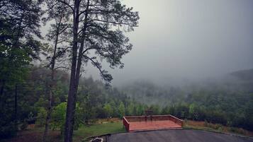 A forested area with a paved path leading to a wooden deck.