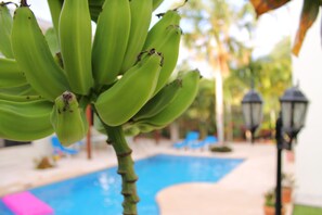 Alberca al aire libre