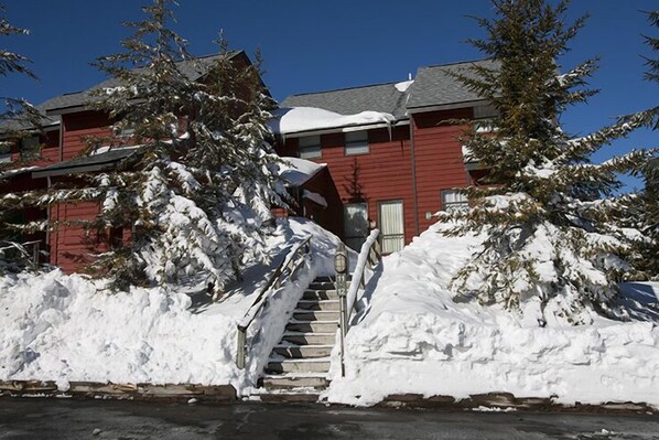 Exterior - Treetop (Snowshoe)
