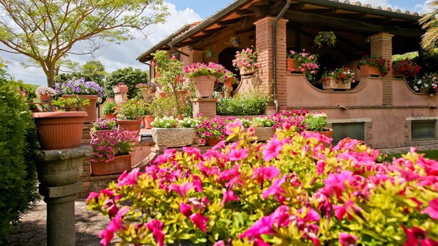 A rustic building with a tiled roof and brick walls, surrounded by vibrant flower beds and a large tree. - Agriturismo da Lorena (Manciano)