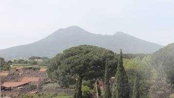 Un site historique abritant des ruines antiques, un arbre remarquable et une montagne en arrière-plan.