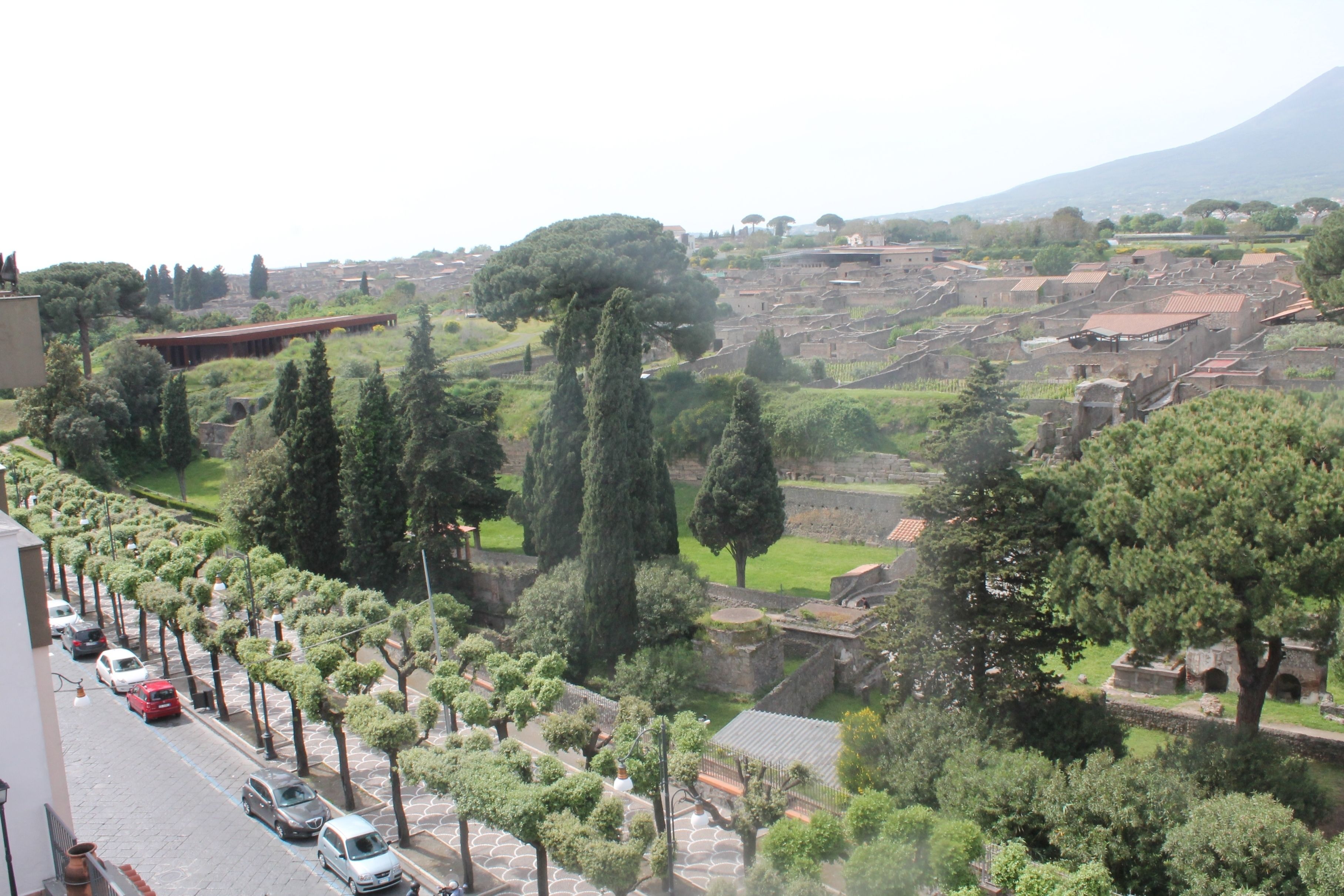 A view of a historic town with ancient ruins, a street lined with trees, and a mountain in the background.