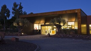 A modern building with a large glass entrance, surrounded by a landscaped area with trees and rocks.