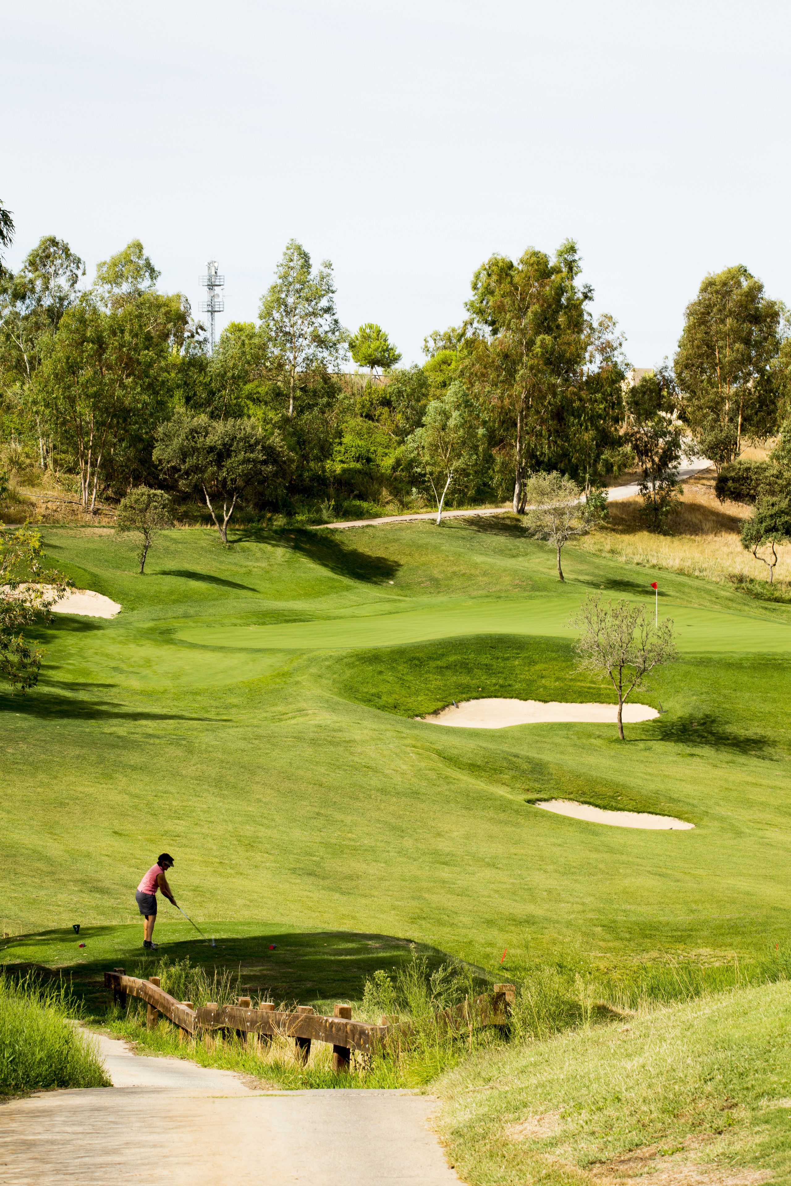 A golf course with a clear path, sand bunkers, and trees in the background.