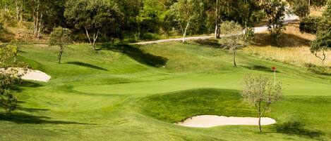 Un campo de golf con un camino despejado, búnkeres de arena y árboles al fondo.