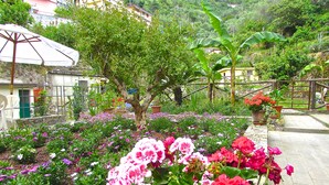Un jardín con diversas flores y plantas, un paraguas blanco y un sendero de piedra.