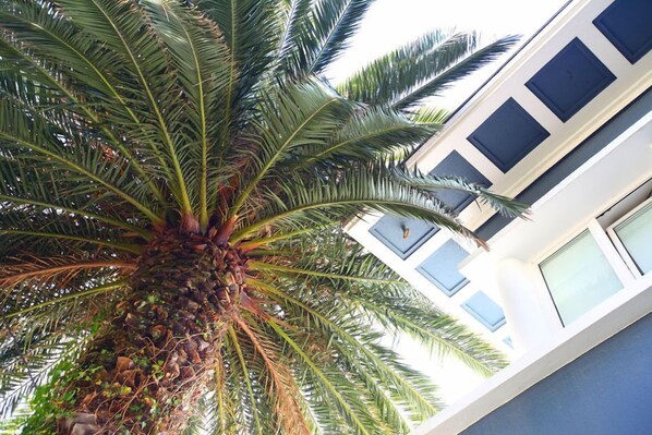 Standard Double Room | Street view