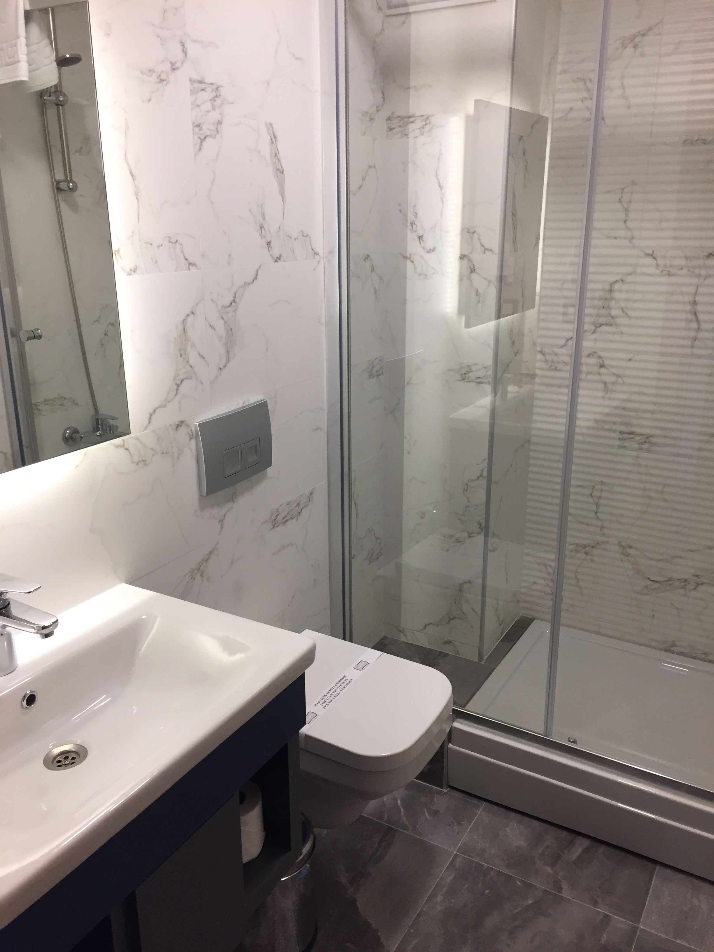 A modern bathroom with a glass shower enclosure, a white sink, and a toilet.