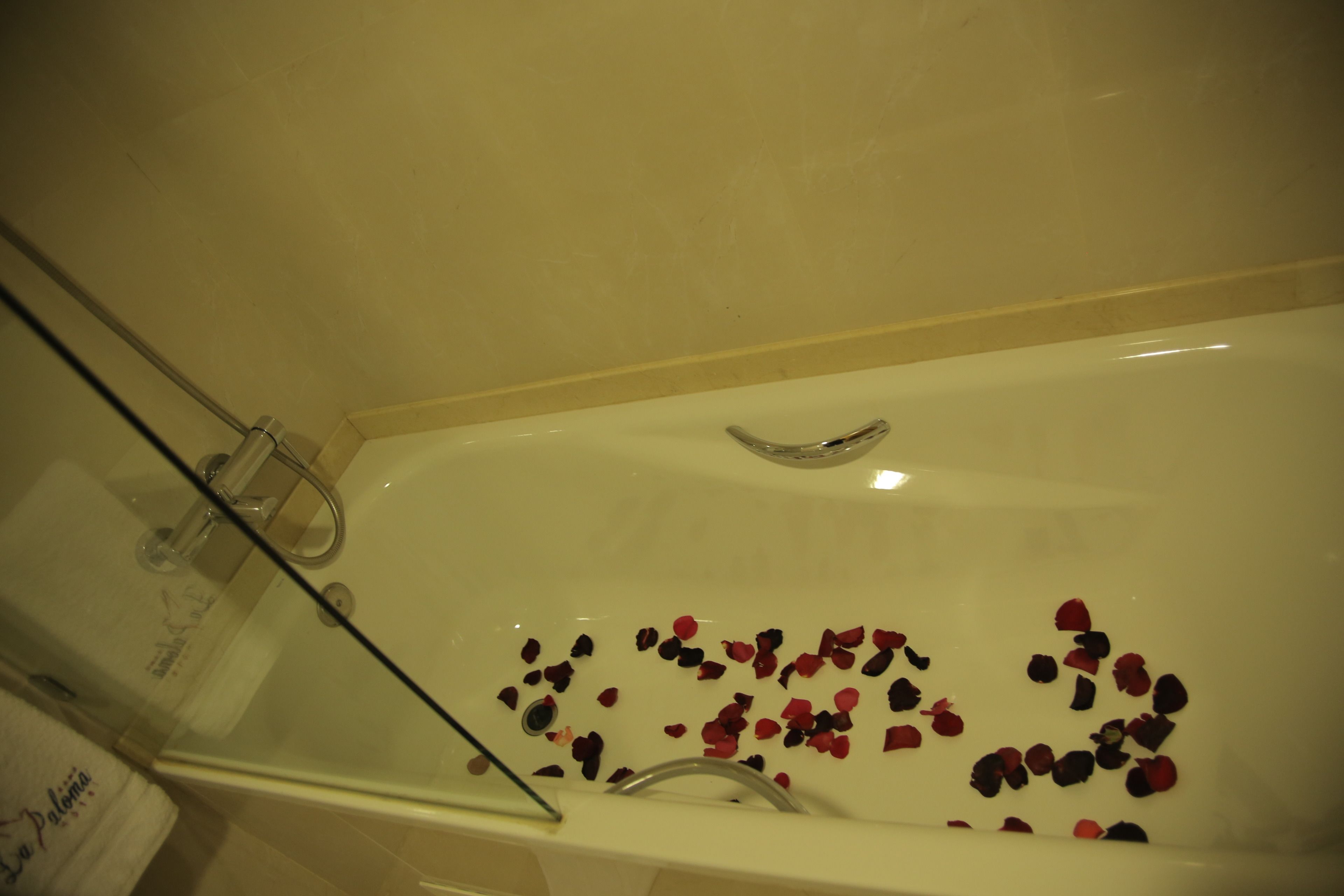 suite | bathroom | combined shower/bathtub, towels