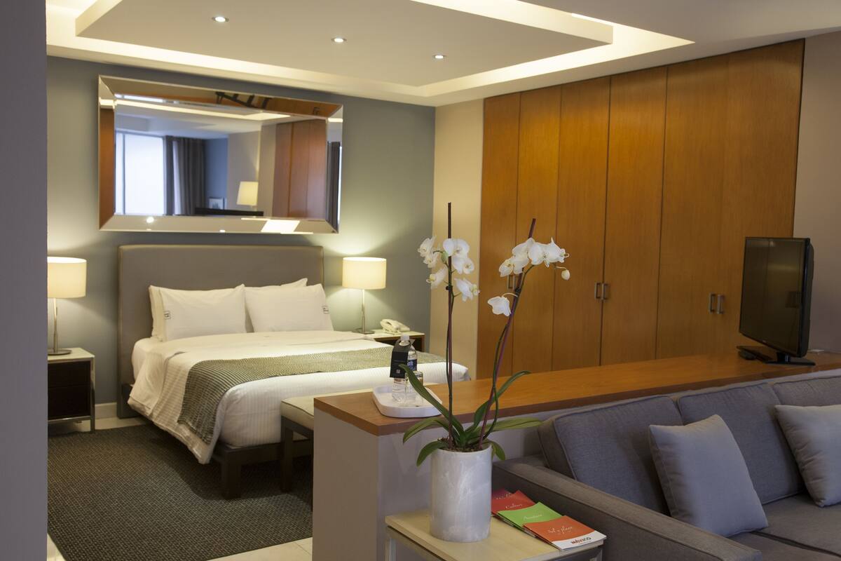 Habitación de hotel con cama, mesita de noche, lámpara, televisor, sofá y una orquídea en maceta.