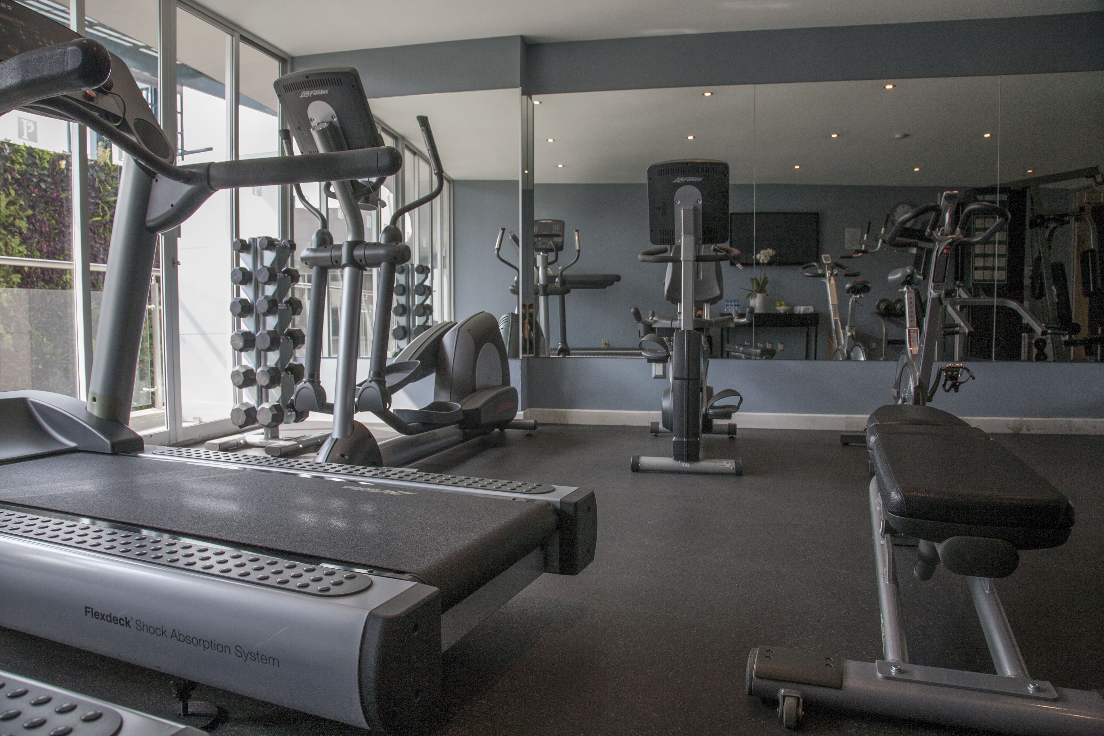 Ein Fitnessstudio mit unterschiedlichen Trainingsgeräten, darunter Laufbänder, Kraftgeräte und eine Bank.