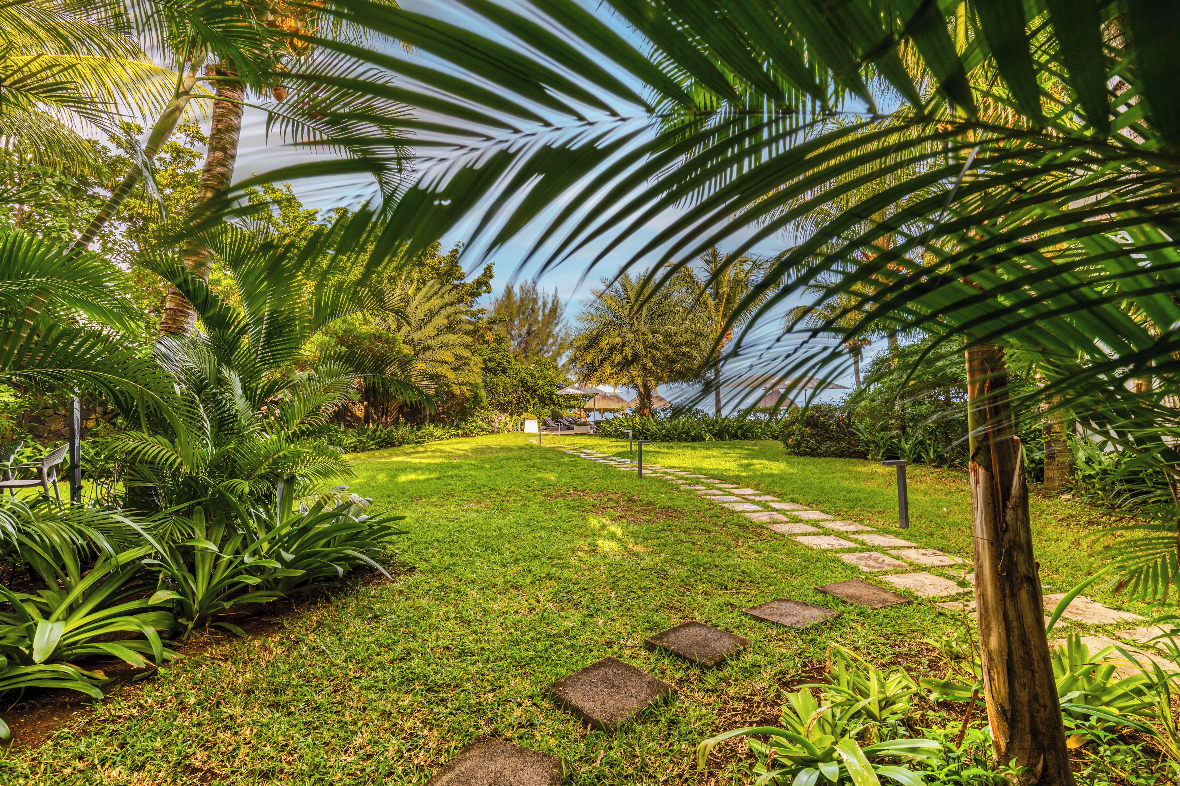 premium apartment | garden view