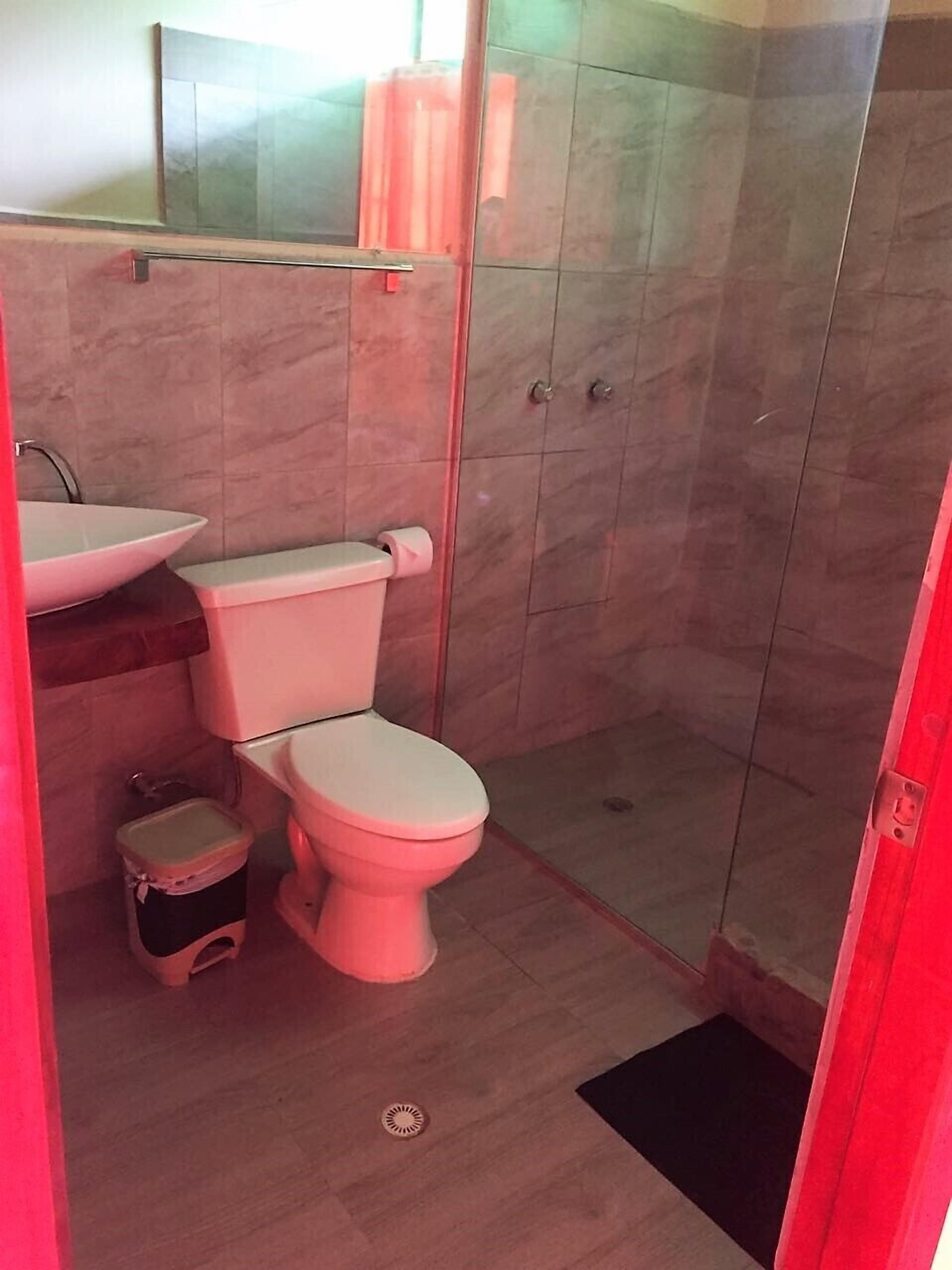 A modern bathroom with a glass shower enclosure, a white toilet, and a vessel sink.