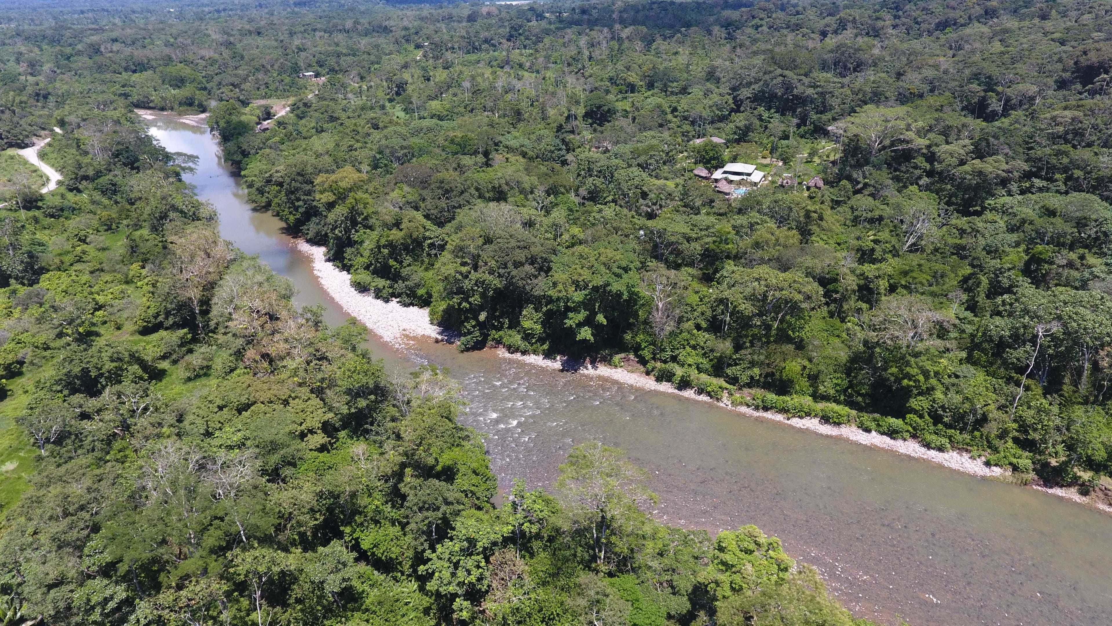 Un río serpentea a través de un bosque denso, con un pequeño edificio en la orilla derecha.