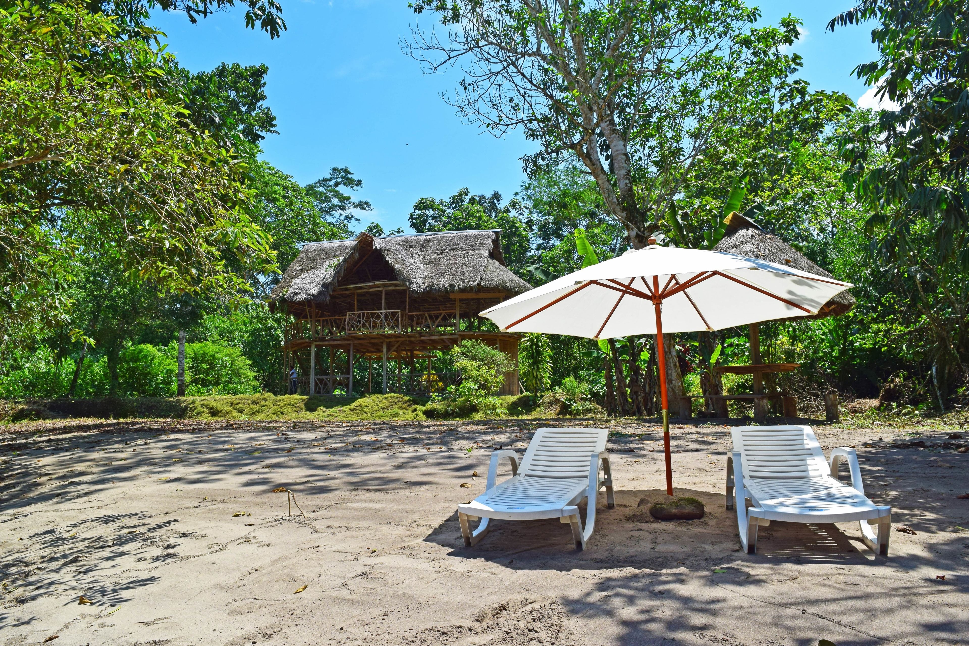 A beach area with two white lounge chairs under a large umbrella, a thatched-roof structure, and lush greenery in the background.