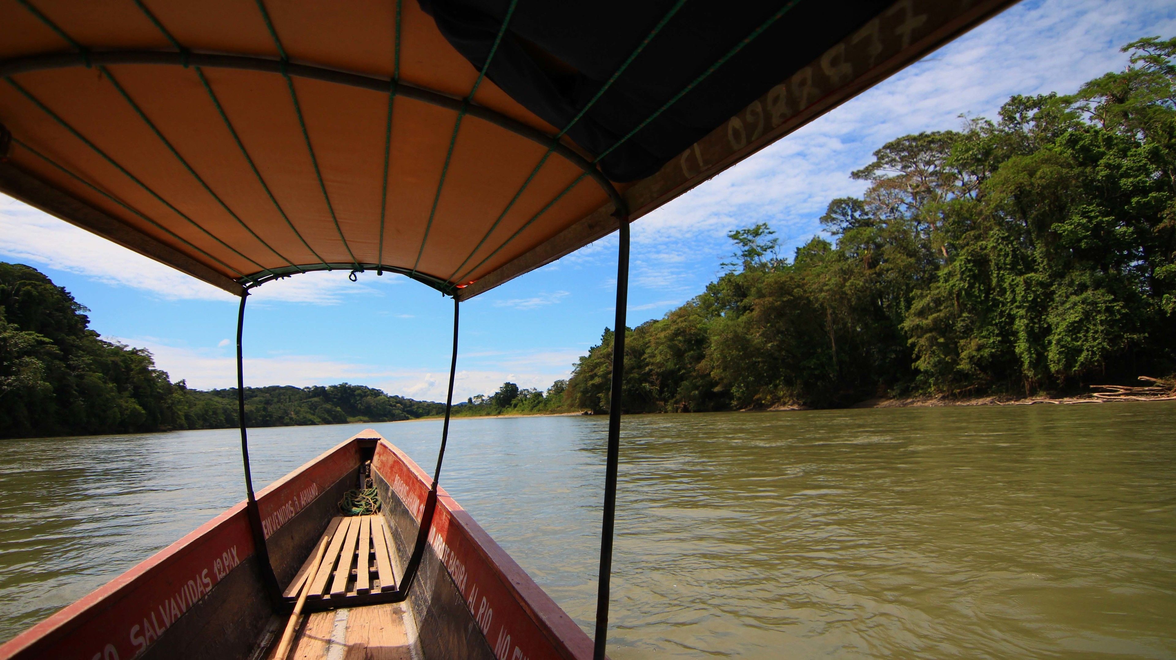 Un barco de paseo fluvial con toldo, rodeado de bosque denso y aguas tranquilas.
