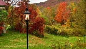 A lamp post in a grassy area with autumn foliage in the background. - Mountain Treasure B&B (Maplecrest)