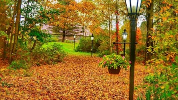 Cottage, 2 Bedrooms (Guest House) | Property grounds