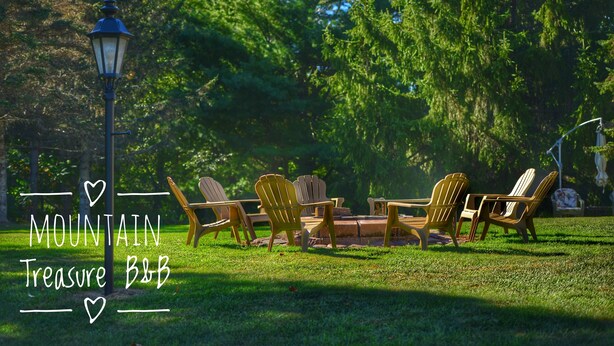 A park with Adirondack chairs and a table, surrounded by trees. - Mountain Treasure B&B (Maplecrest)
