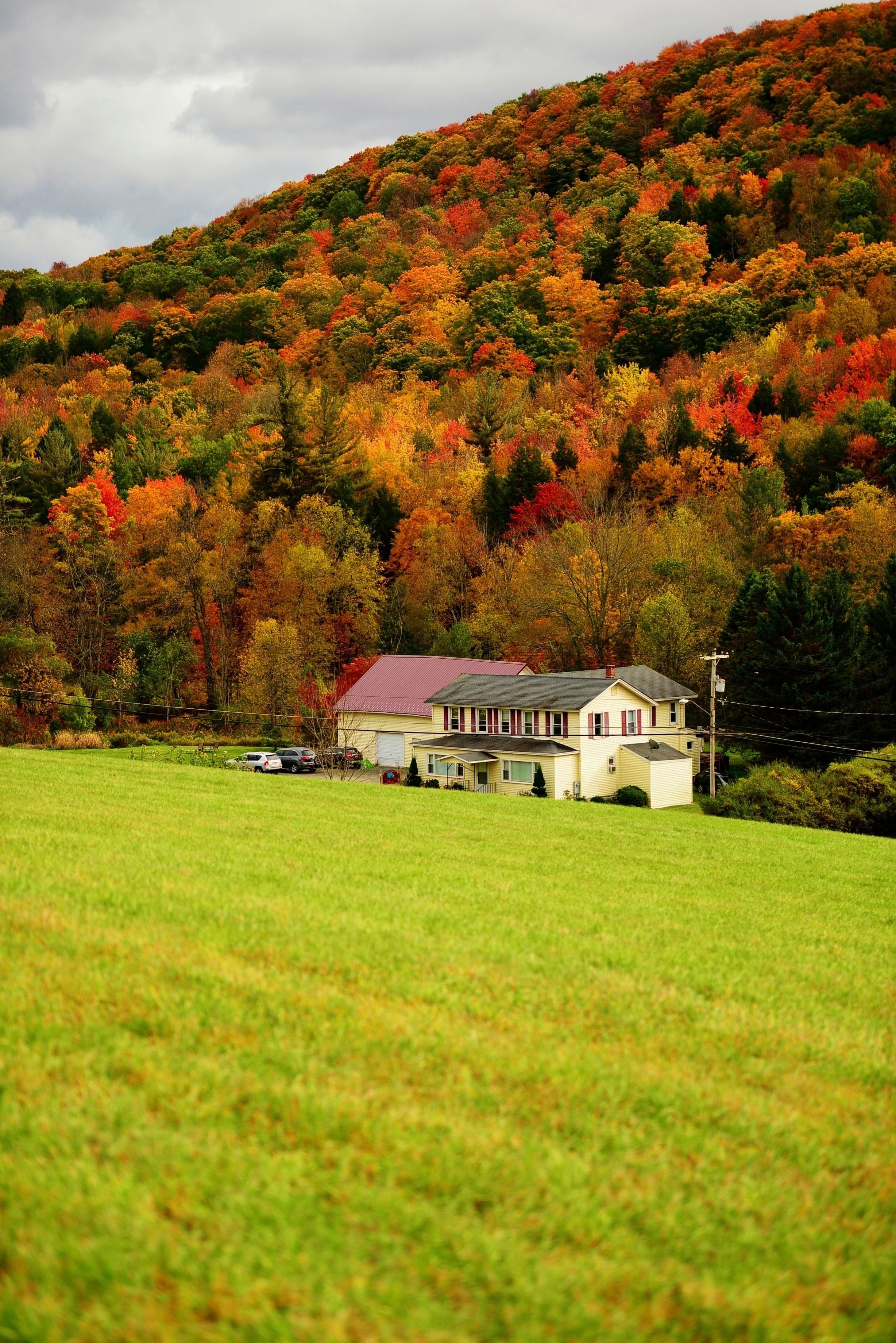 A house with a red roof, surrounded by a green field and a forested hillside.