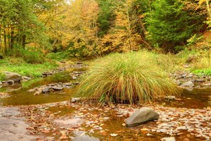 Un paysage naturel en plein air, avec un ruisseau, des rochers et de la végétation.