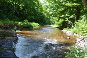 Une rivière qui traverse une zone boisée, avec des rochers et de la végétation le long de ses rives.
