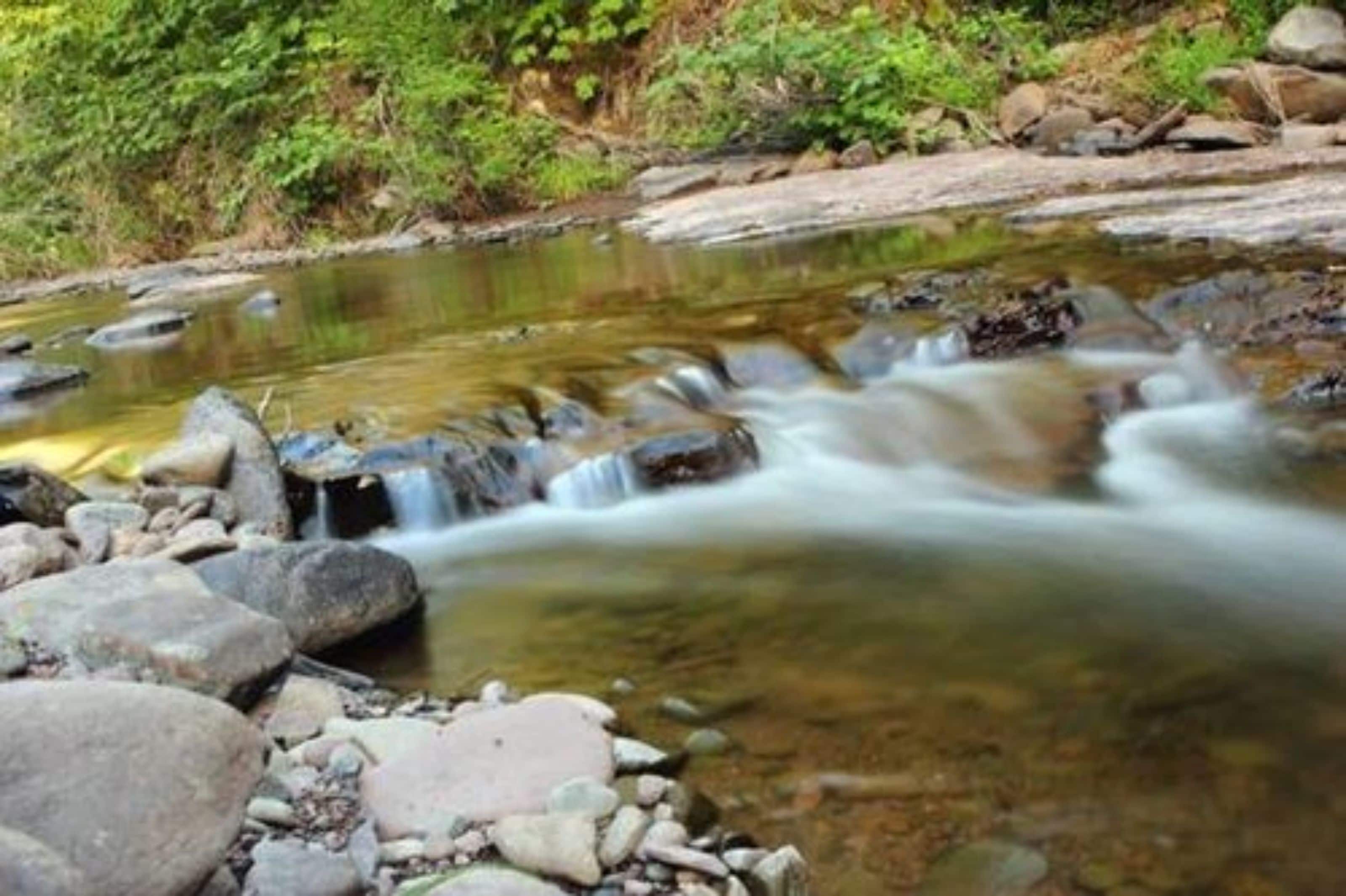 A natural stream with rocks and greenery.